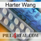 Hard Wang 34